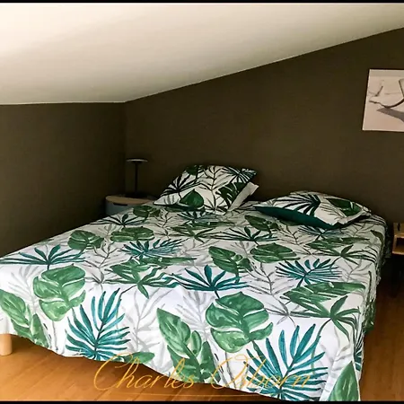 Le Vina, Charming In The Center Of * Sète